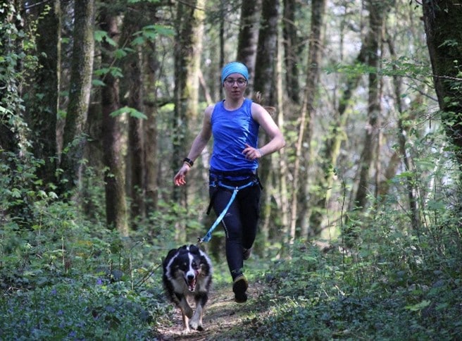 faire une activité avec son chien ca veut dire quoi