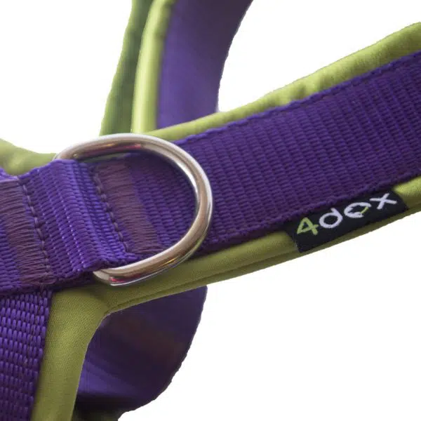 Harnais 4dox turquoise violet