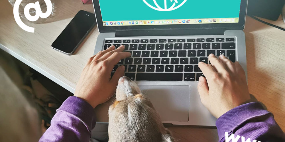 siteinternetmuzoplus siteinternetmuzoplus