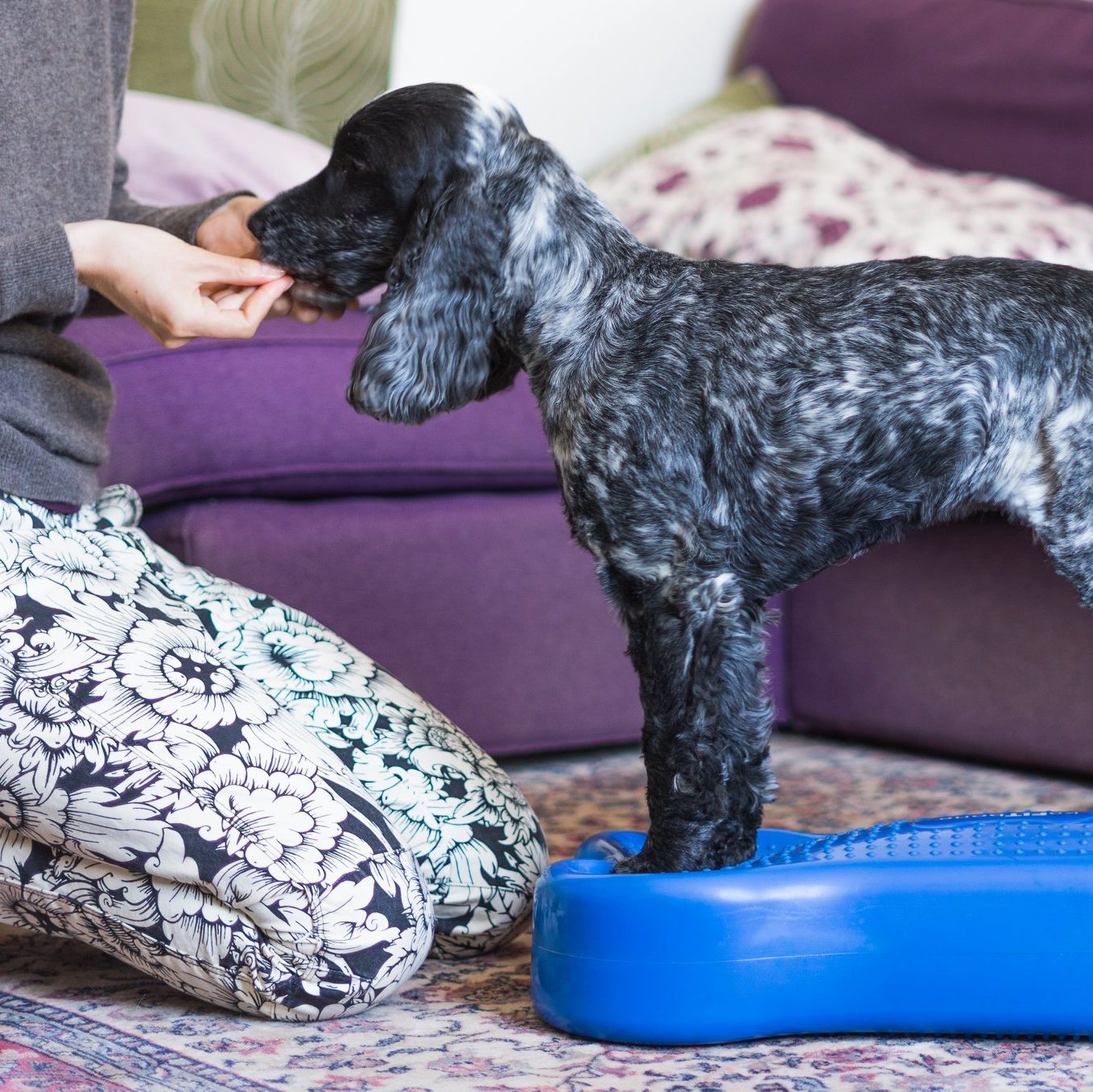 84348440_1634674830005856_2008270155775213568_o