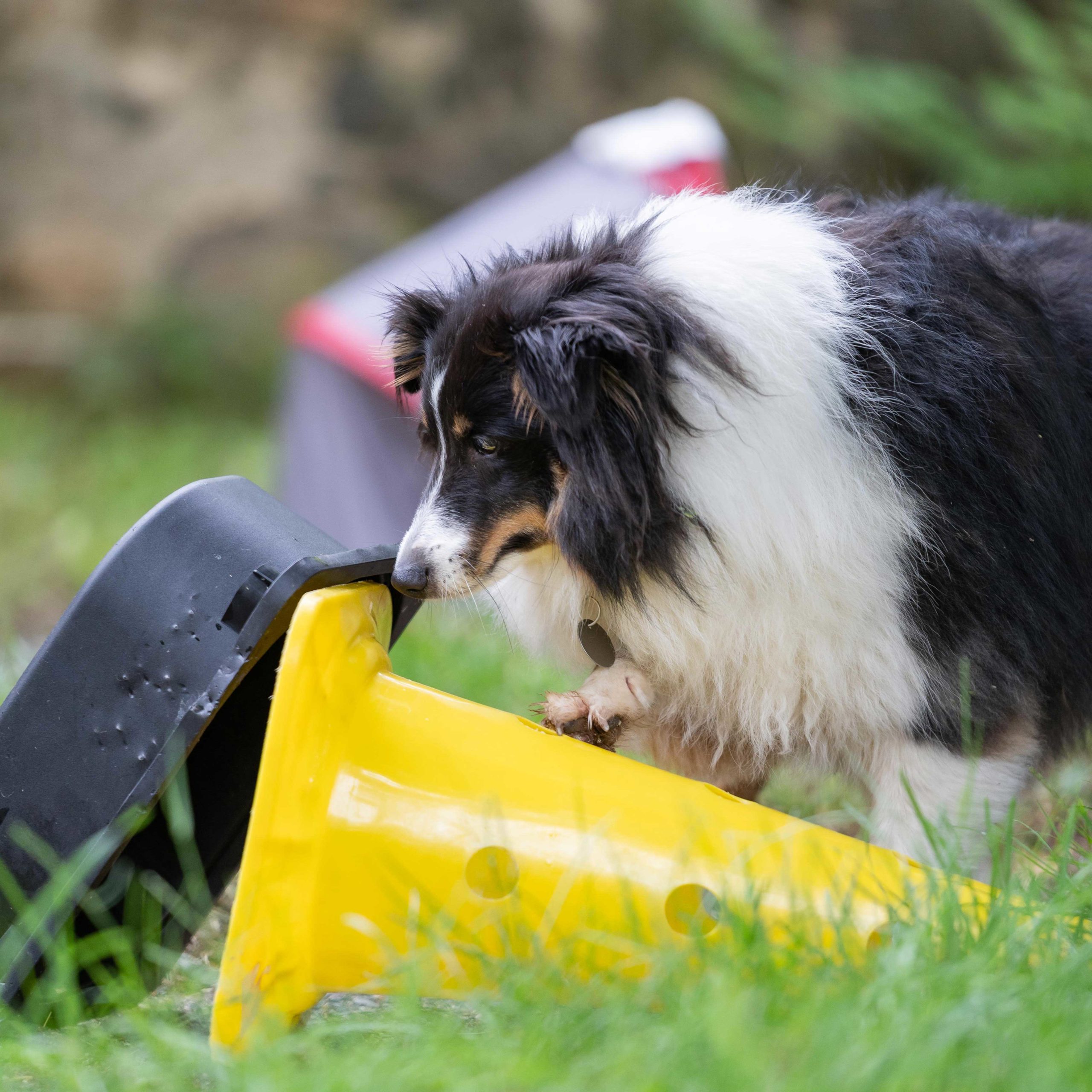 hunting-games-detection-shetland-cone