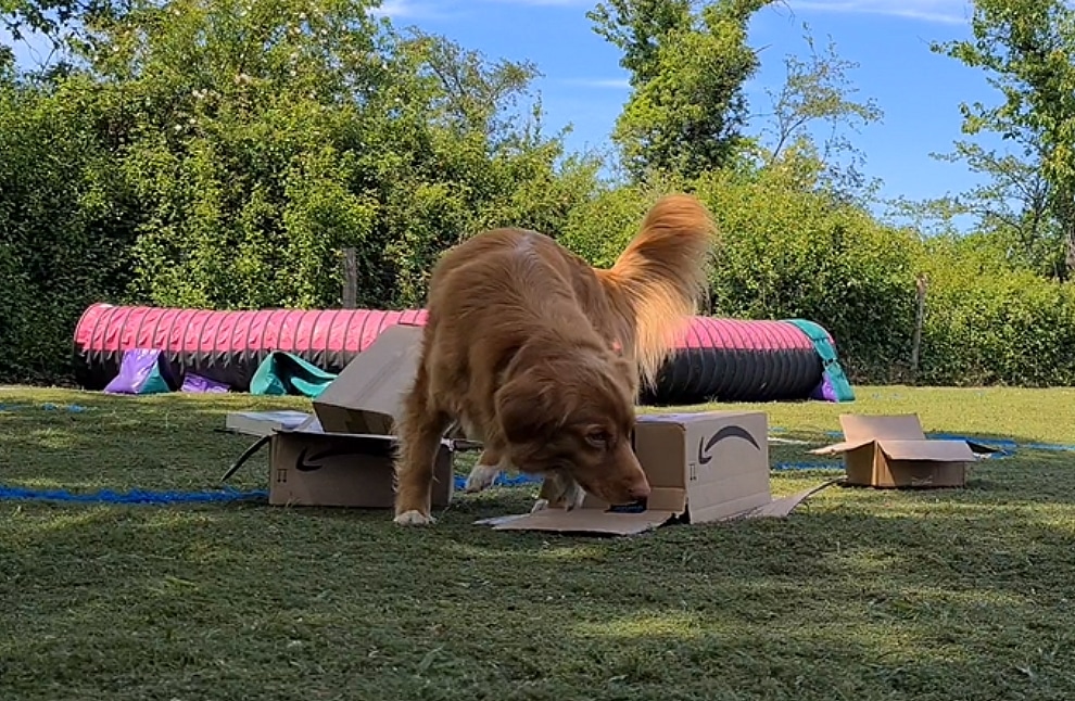 hunting présentation