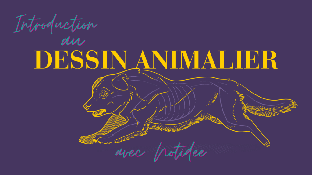 introduction au dessin animalier avec notidee