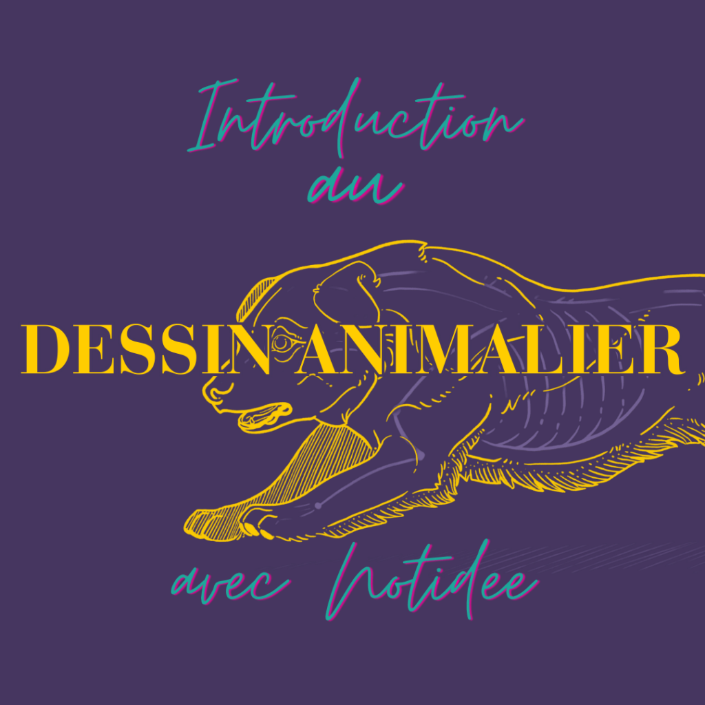 introduction au dessin animalier avec notidee