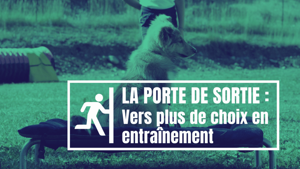 la porte de sortie : vers plus de choix en entraînement