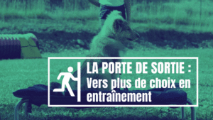 la porte de sortie : vers plus de choix en entraînement
