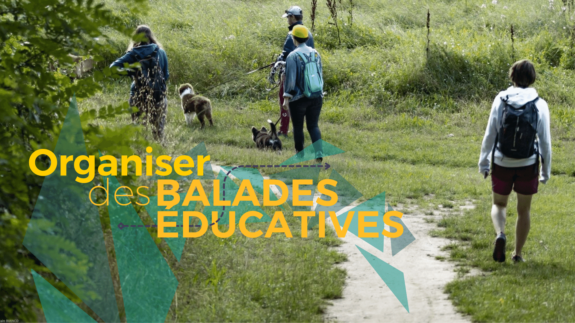 organiser des balades éducatives