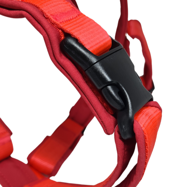 harnais chien rouge réglable protection clips 4dox muzoplus