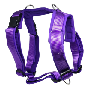 harnais chien violet 3d réglable 3 anneaux attache 4dox muzoplus