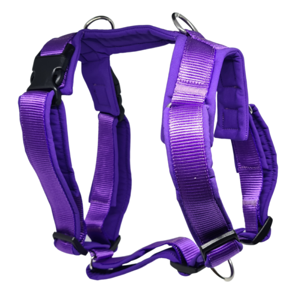 harnais chien violet 3d réglable 3 anneaux attache 4dox muzoplus