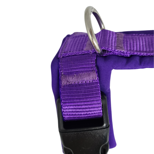 harnais chien violet coutures solides 4dox muzoplus