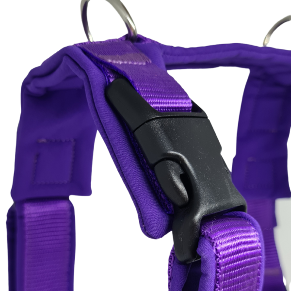 harnais chien violet réglable protection clips 4dox muzoplus