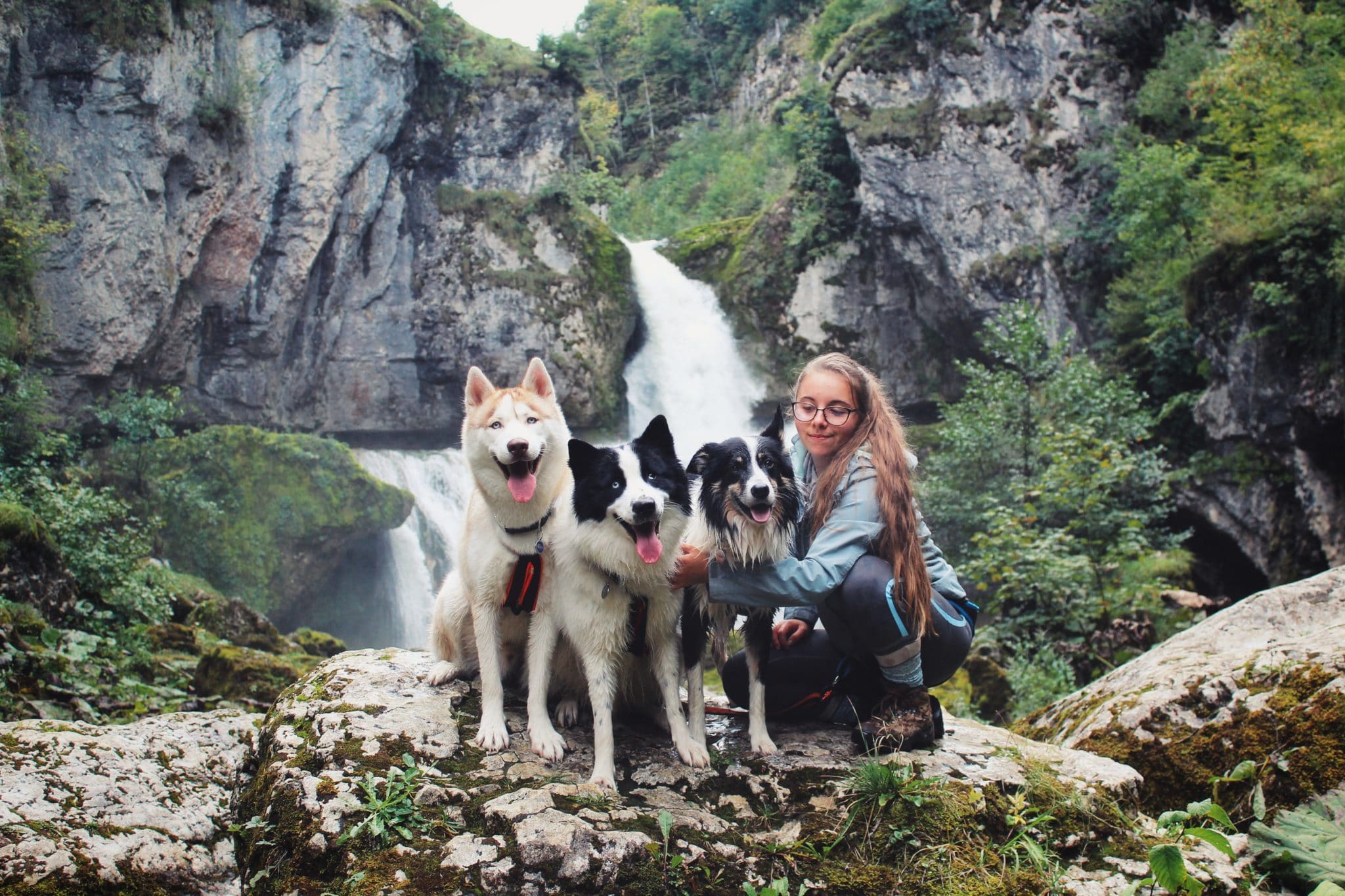 Aider un chien « réactif » : Mon histoire avec Marty