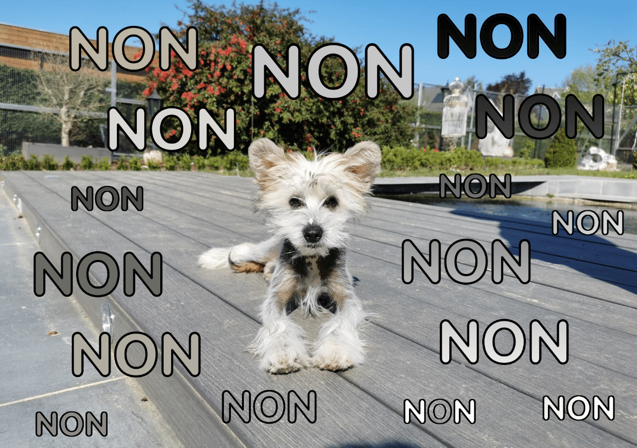 50 nuances de NON