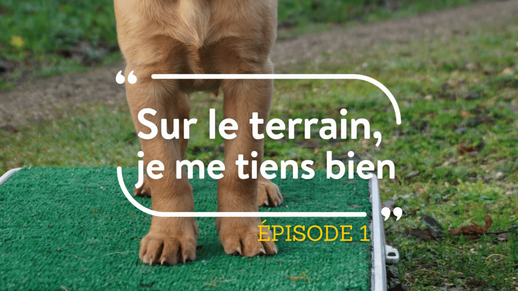 « sur le terrain, je me tiens bien » episode 1