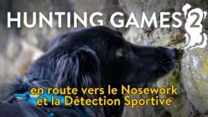 Hunting Games 2 : En route vers le Nosework et la Détection Sportive