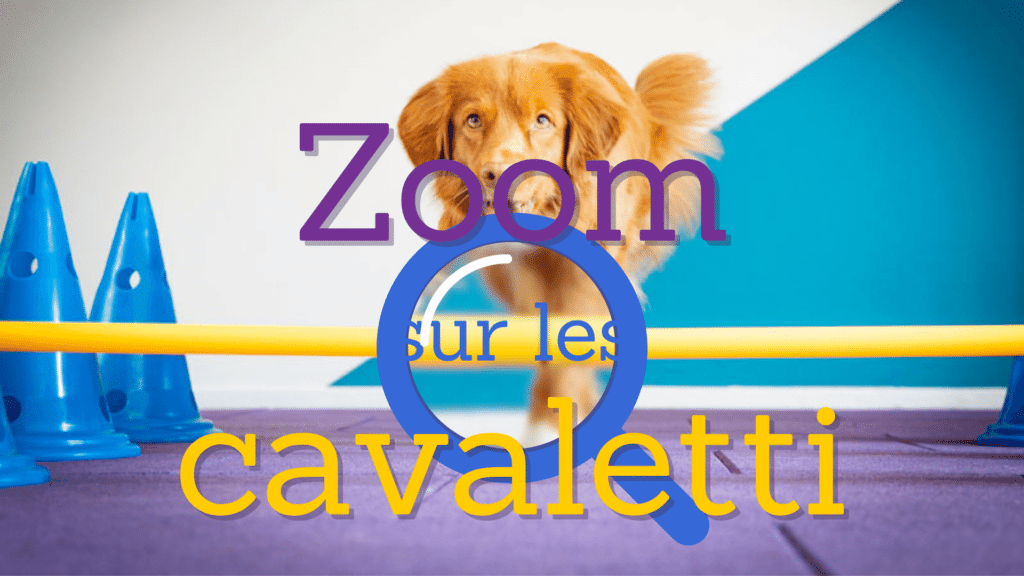 zoom sur les cavaletti