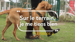 « sur le terrain, je me tiens bien » episode 2