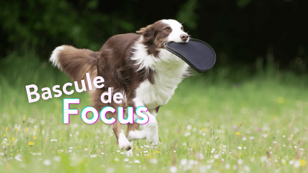 bascule de focus