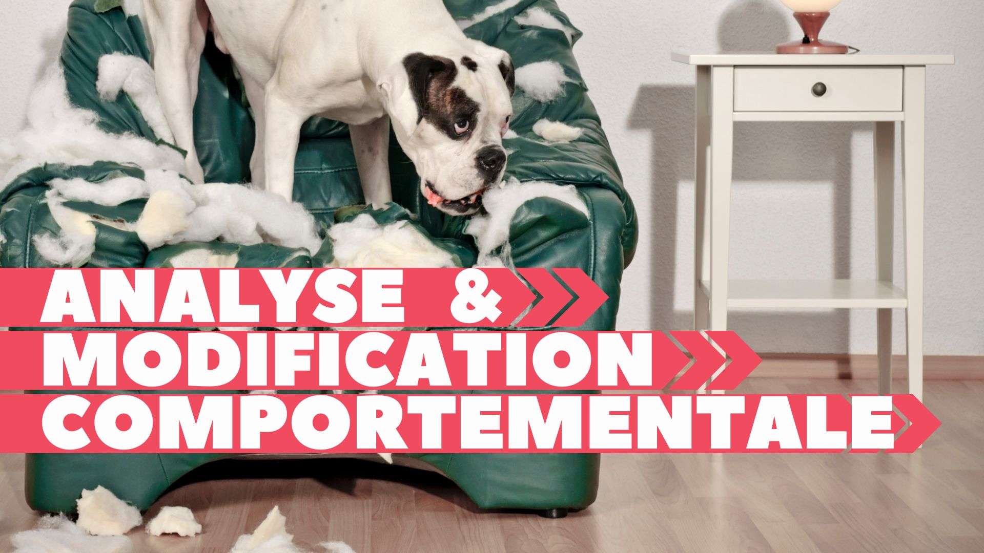 Analyse et modification comportementale