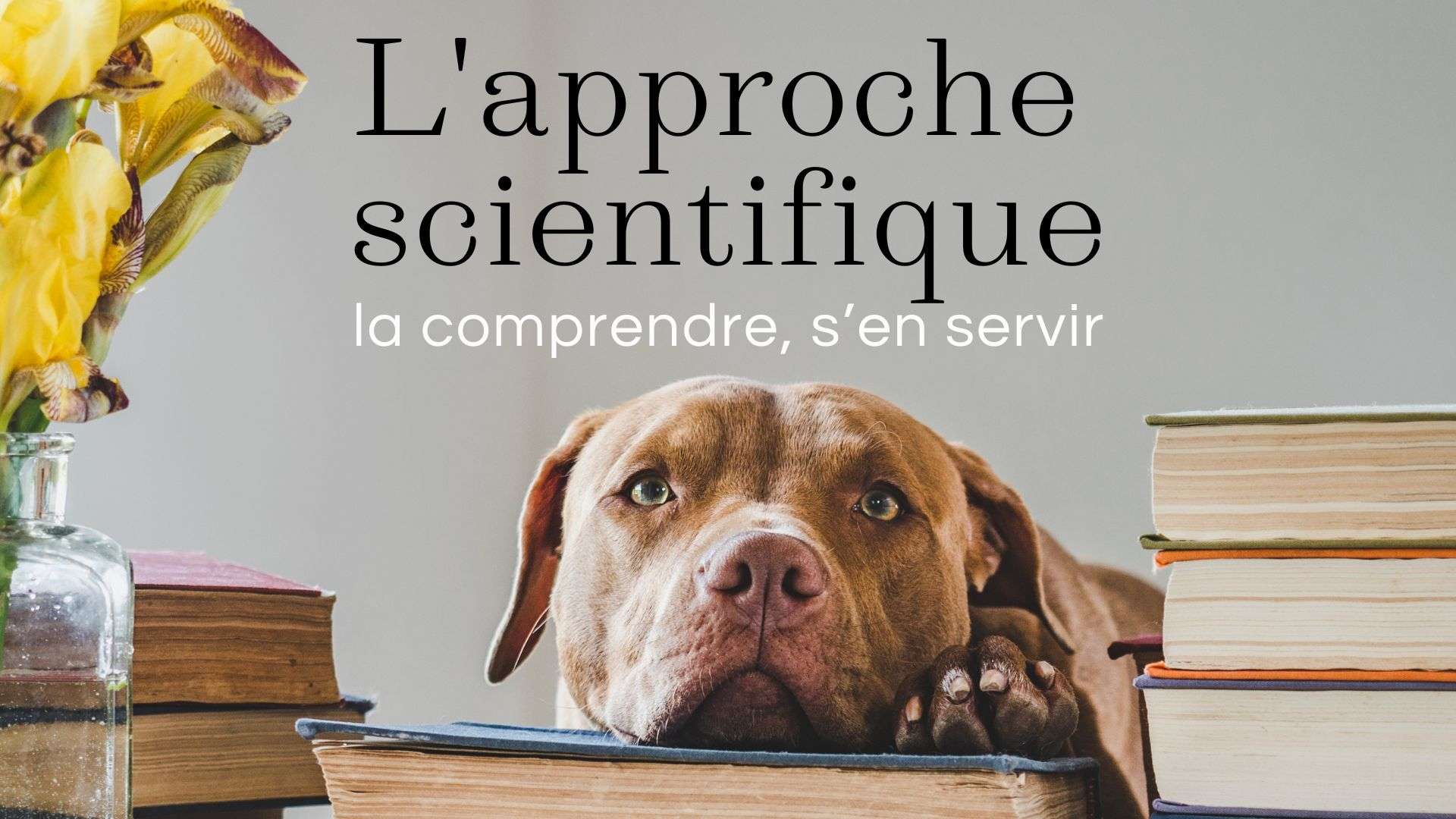 L’approche scientifique : la comprendre, s’en servir
