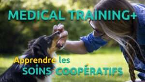 Medical Training + : apprendre les soins coopératifs