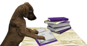 chien livre muzoethologie science chien comportement muzoplus stephanie deldalle