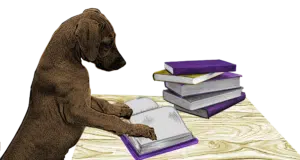 chien livre muzoethologie science chien comportement muzoplus stephanie deldalle