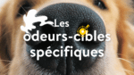 les odeurs cibles spécifiques