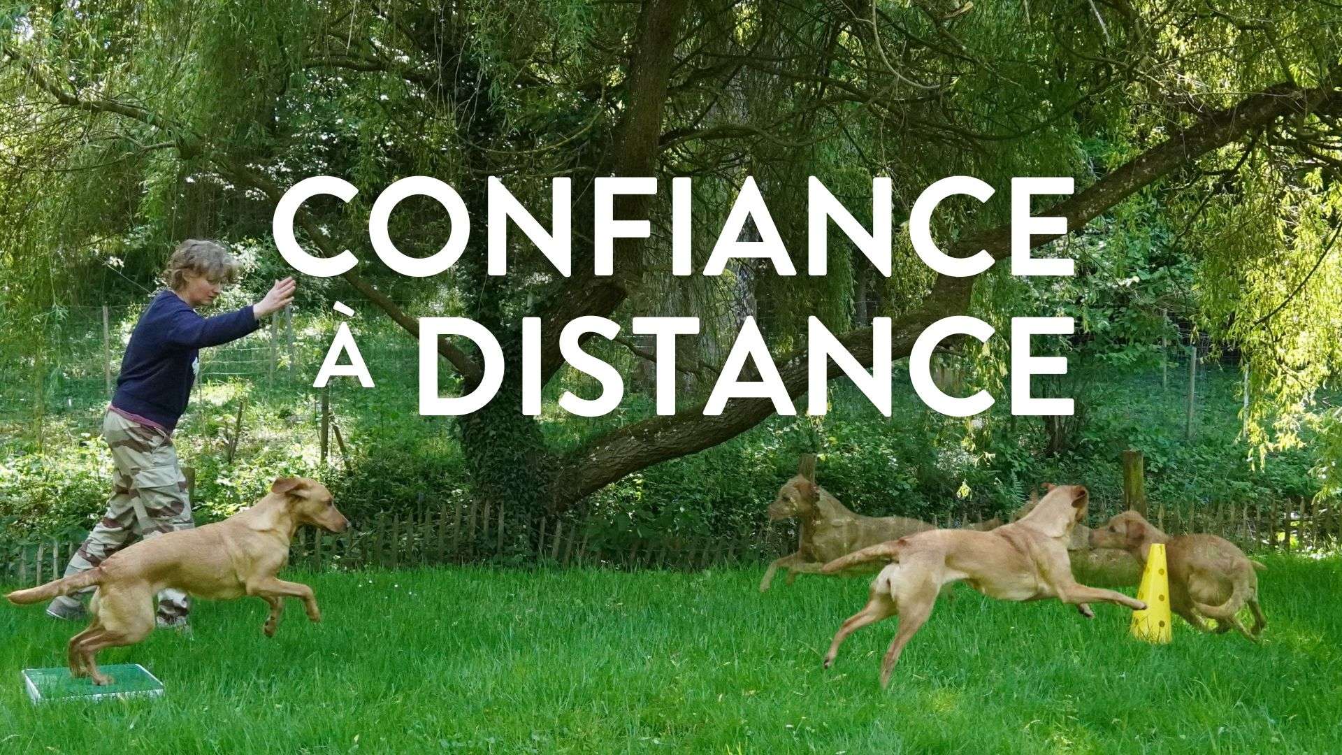 Confiance à Distance