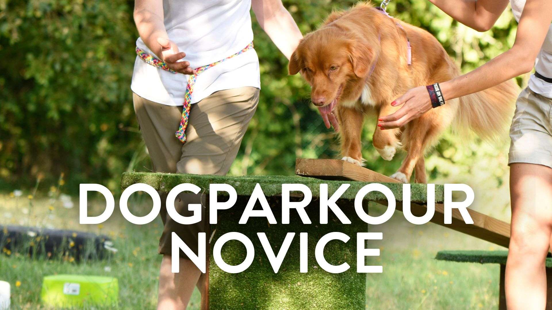 DogParkour – Novice