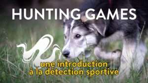 Hunting Games : une introduction à la détection sportive