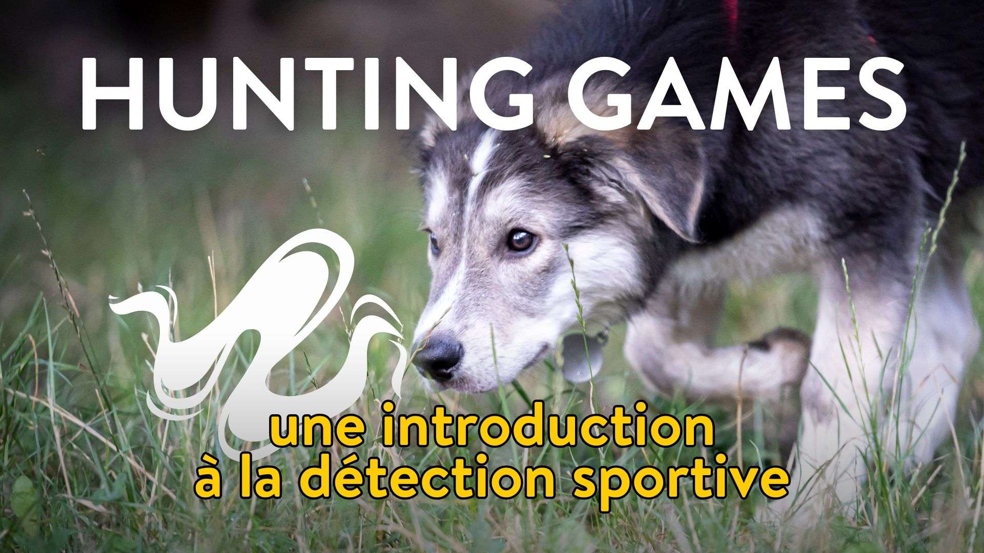 Hunting Games : une introduction à la détection sportive