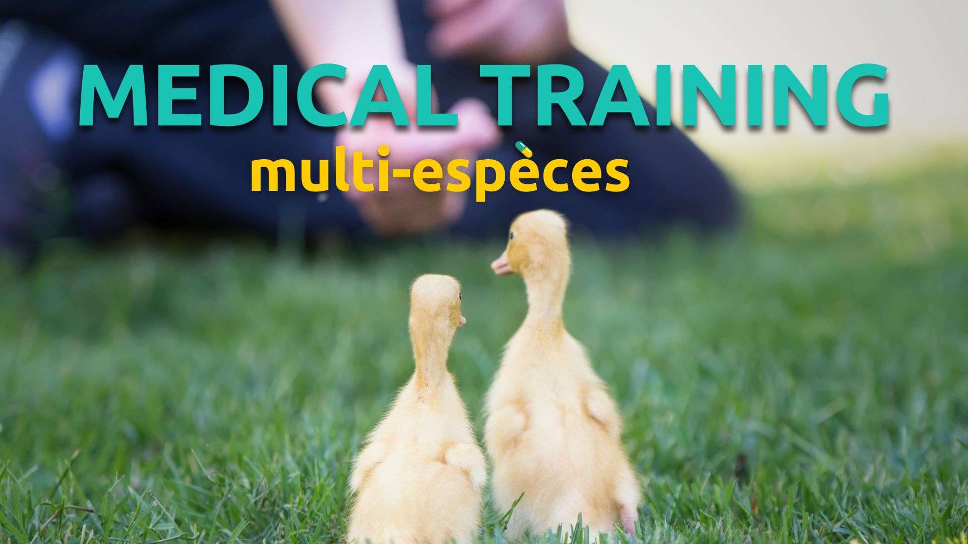 Medical Training multi-espèces