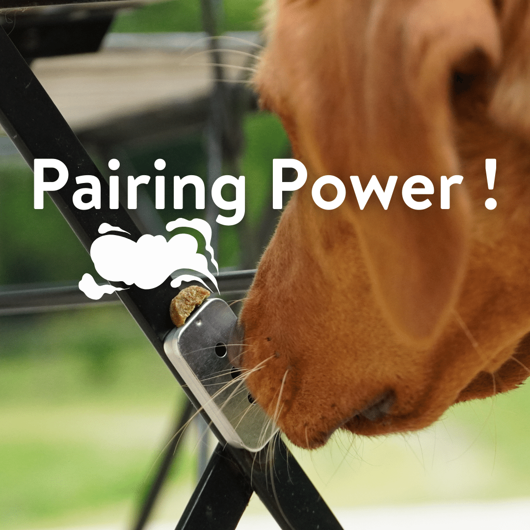 pairing power ! l’apprentissage d’une odeur cible spécifique