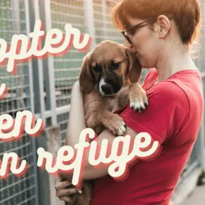 adopter un chien en refuge