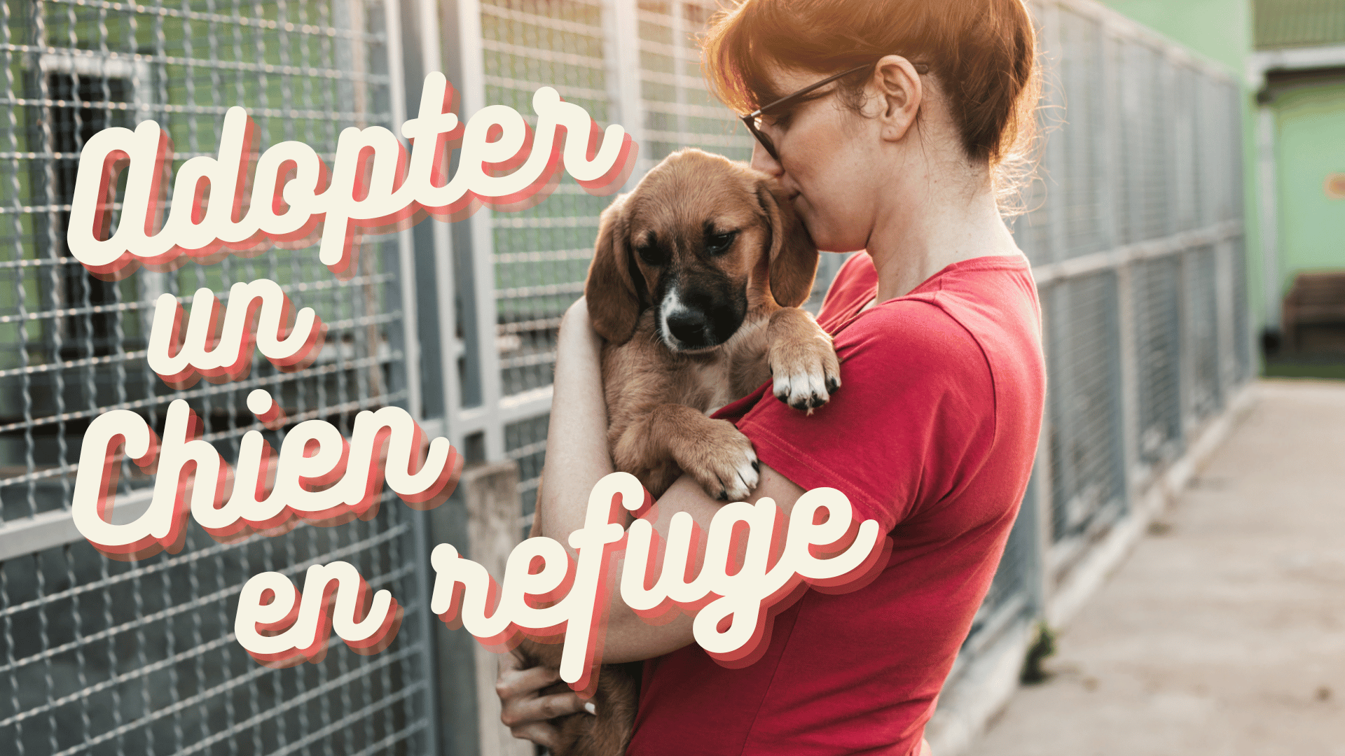 Adopter Un Chien En Refuge Muzo 