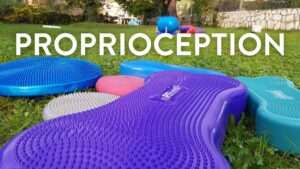 Proprioception