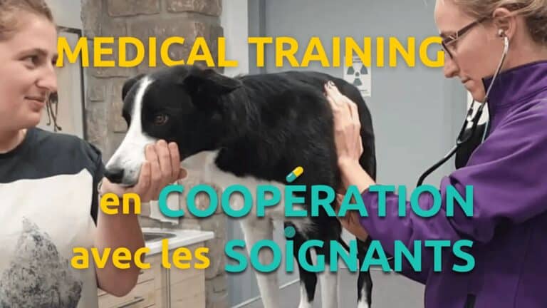 Medical training en coopération avec les soignants