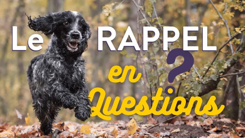 Le rappel en questions