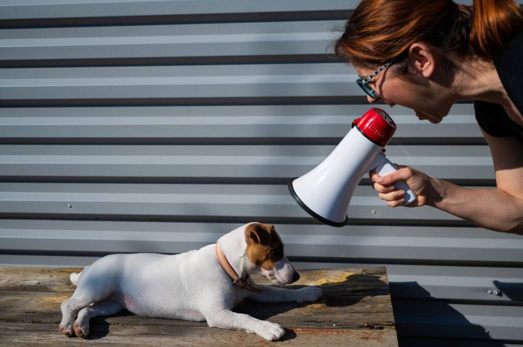 a,woman,yells,at,a,lying,dog,through,a,megaphone.