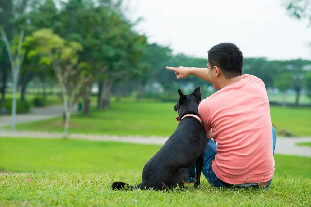 Communiquer avec son chien : nos conseils