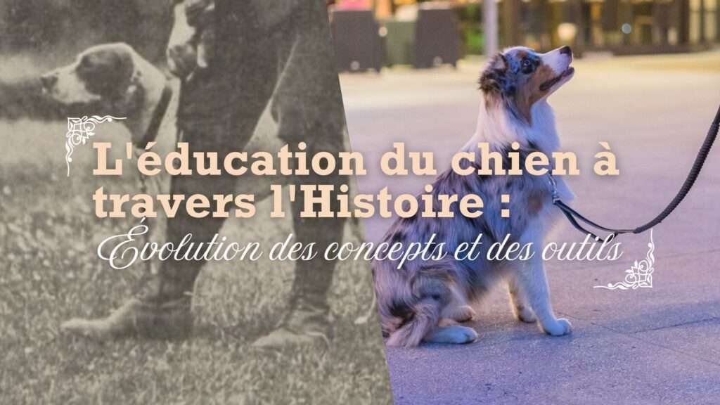 educ du chien dans l'histoire