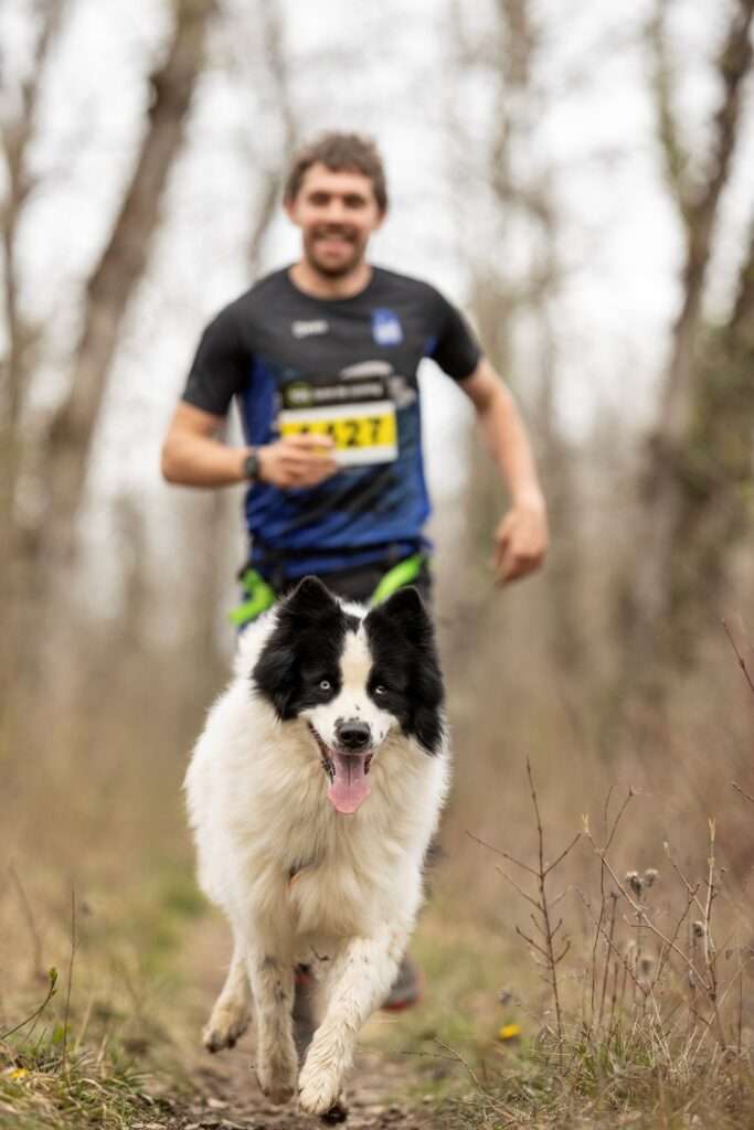 canicross bénéfices sport