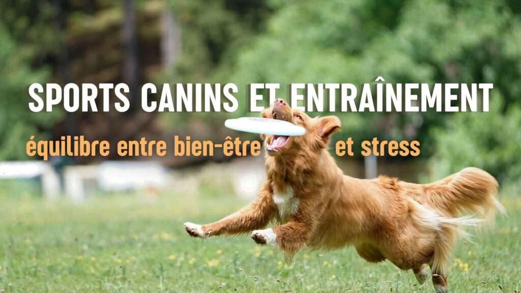 sports canins et entraînement