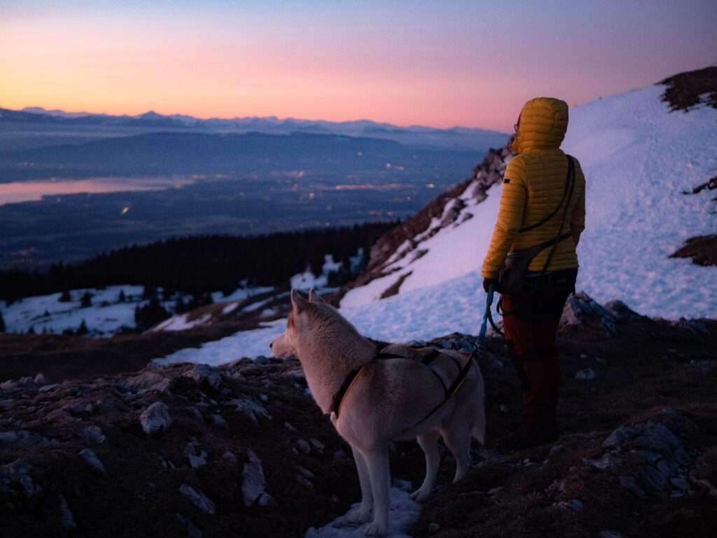 profiter de la neige avec son chien