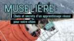 muselière