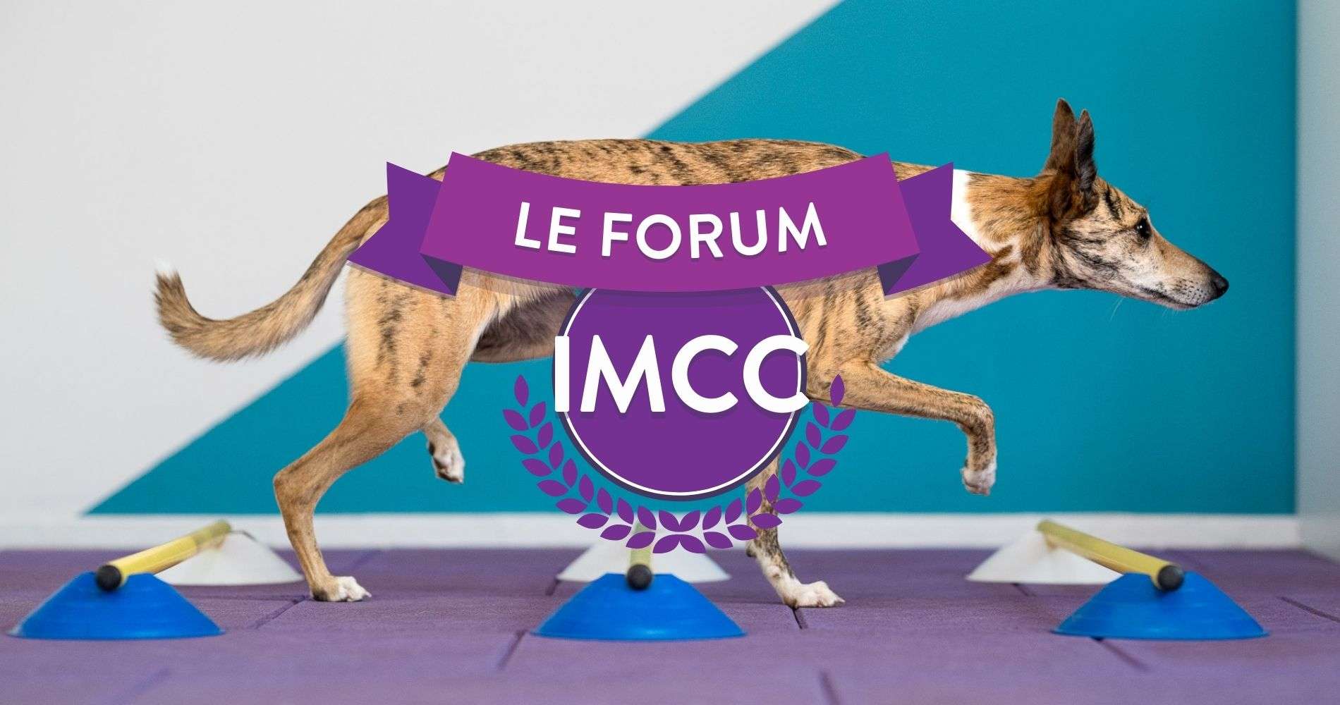 ** Formation IMCC – Exercices