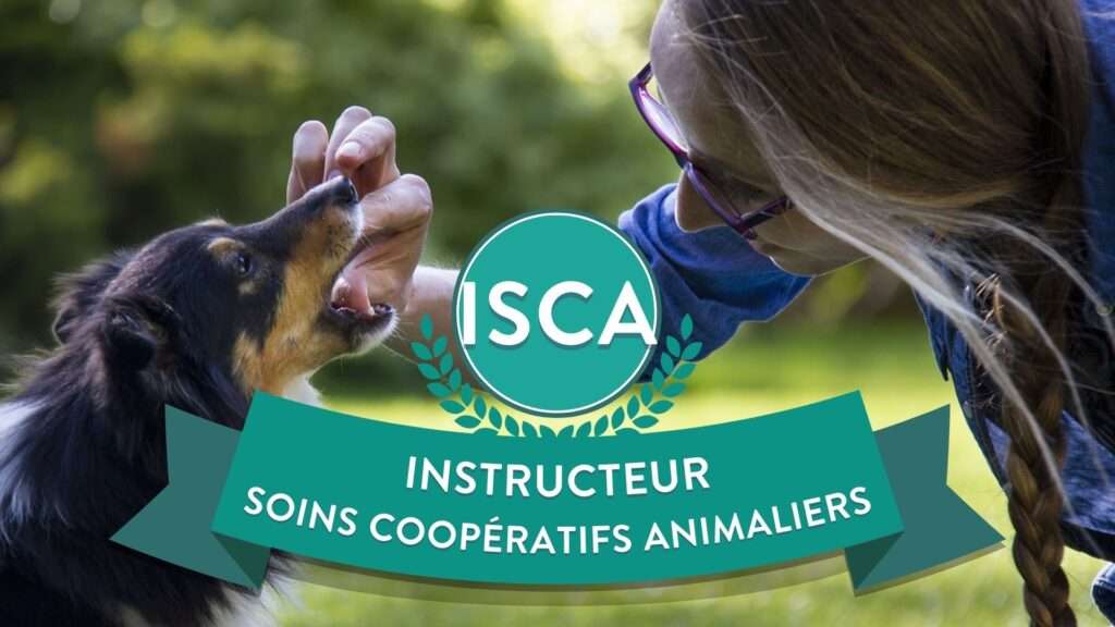 vignette isca