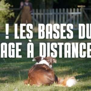 stop blocage a distance